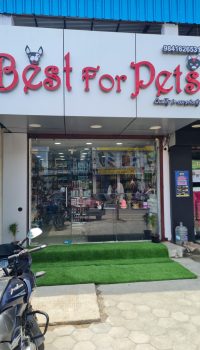 Chennai Veterinary Shops Near Me Best For Pets Store Locations In